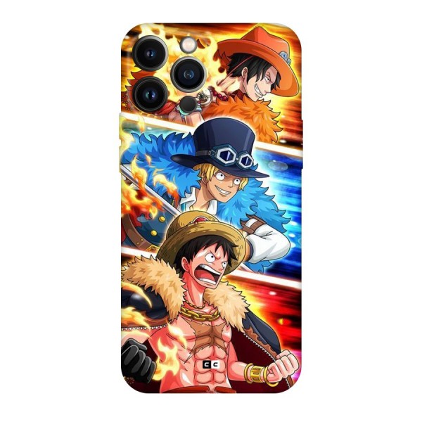 Pirate Brothers Back Case for iPhone 13 Pro Max