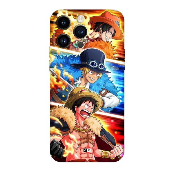 Pirate Brothers Back Case for iPhone 14 Pro Max