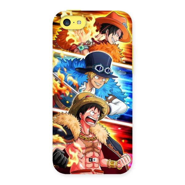 Pirate Brothers Back Case for iPhone 5C