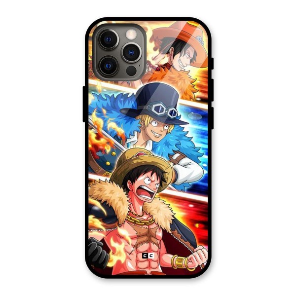 Pirate Brothers Glass Back Case for iPhone 12 Pro
