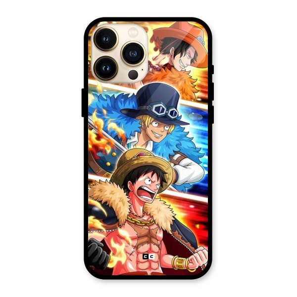 Pirate Brothers Glass Back Case for iPhone 13 Pro Max
