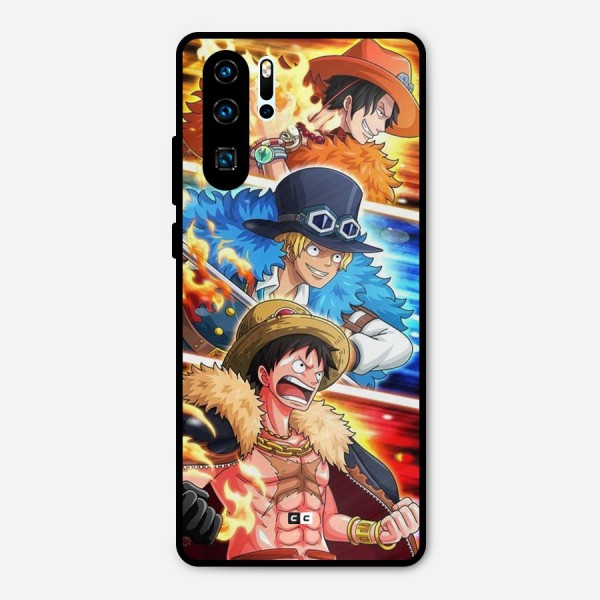 Pirate Brothers Metal Back Case for Huawei P30 Pro