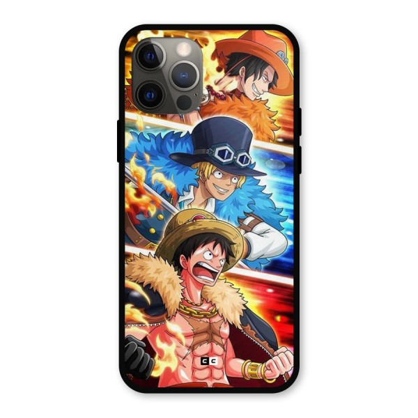 Pirate Brothers Metal Back Case for iPhone 12 Pro