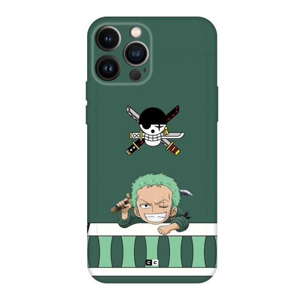 Pirate Hunter Zoro Back Case for iPhone 13 Pro Max