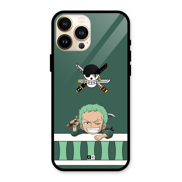 Pirate Hunter Zoro Glass Back Case for iPhone 13 Pro Max