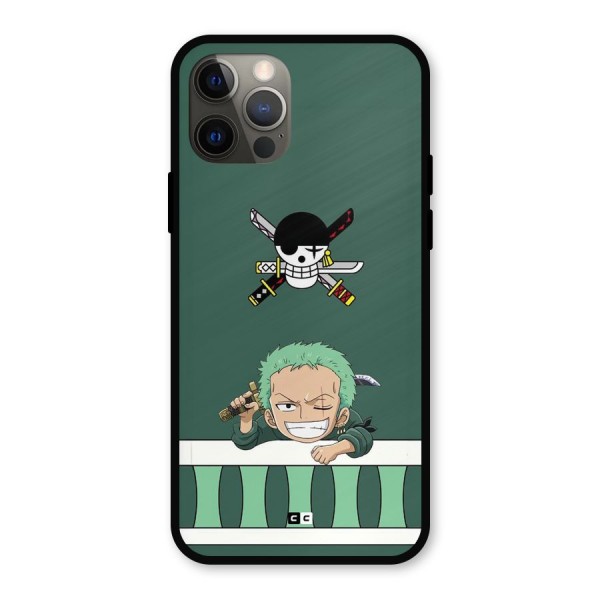 Pirate Hunter Zoro Metal Back Case for iPhone 12 Pro