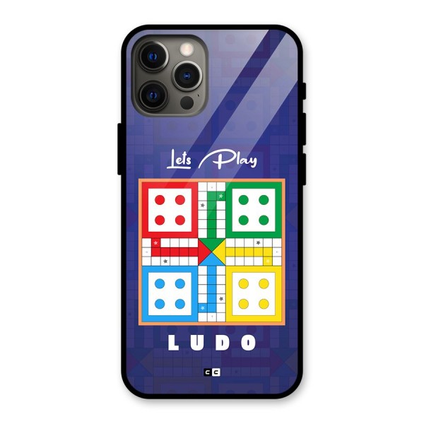 Play Life Glass Back Case for iPhone 12 Pro Max
