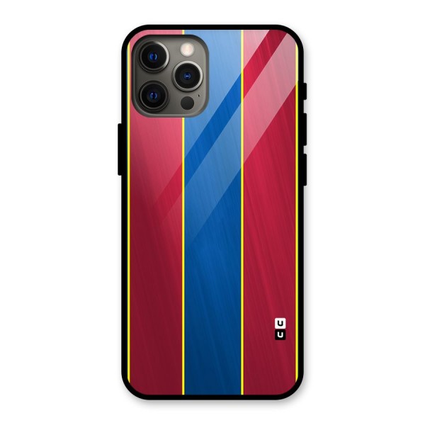 Premium Vertical Stripes Glass Back Case for iPhone 12 Pro Max