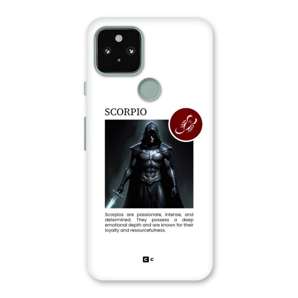 Sane Scorpio Back Case for Google Pixel 5