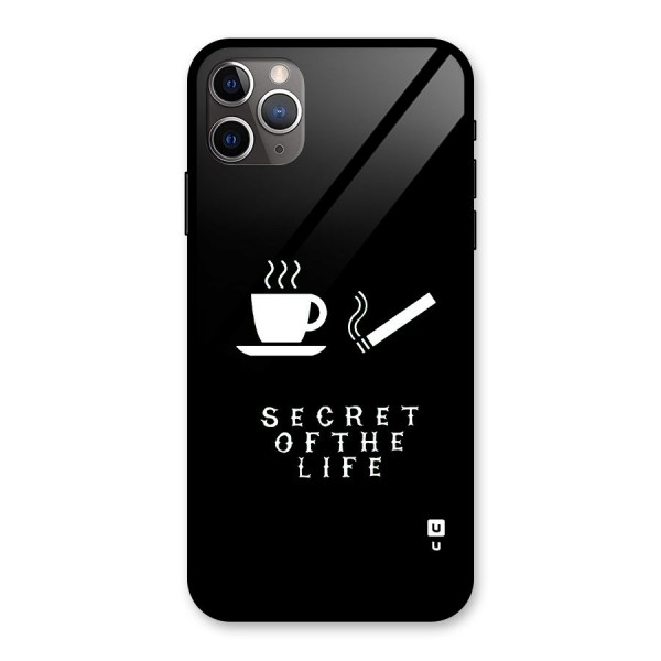 Secrate of Life Glass Back Case for iPhone 11 Pro Max
