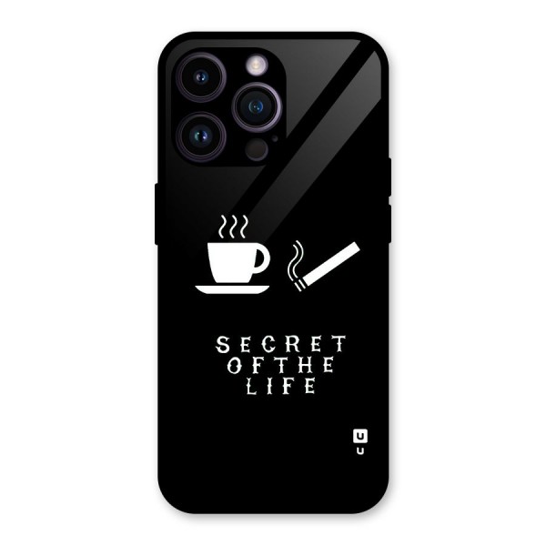 Secrate of Life Glass Back Case for iPhone 14 Pro Max