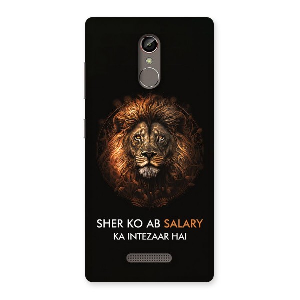 Sher On Salary Back Case for Gionee S6s