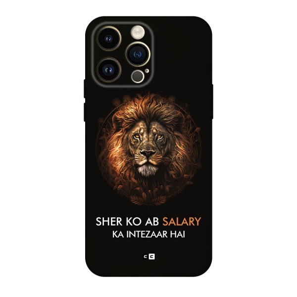 Sher On Salary Back Case for iPhone 14 Pro Max