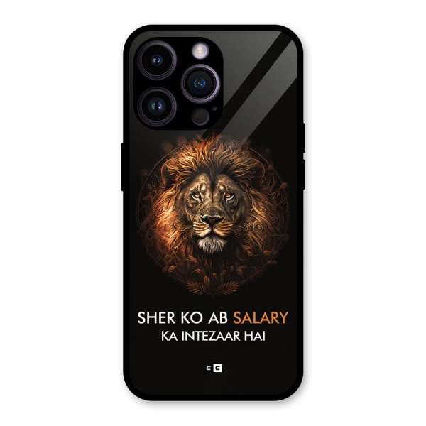 Sher On Salary Glass Back Case for iPhone 14 Pro Max