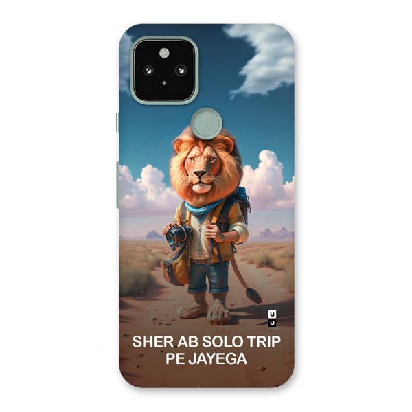 Sher Solo Trip Back Case for Google Pixel 5