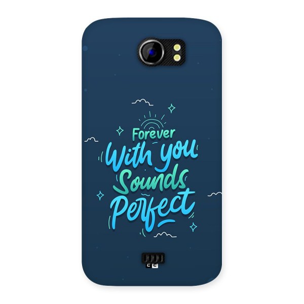 Sounds Perfect Back Case for Canvas 2 A110
