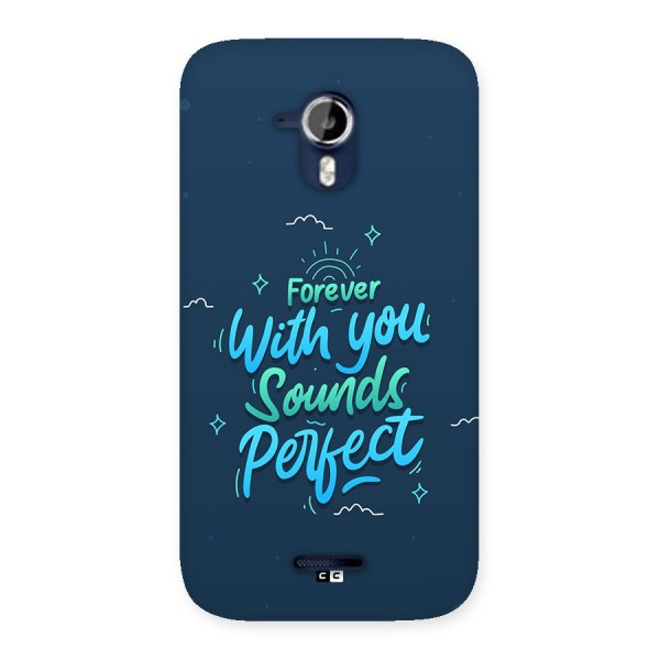 Sounds Perfect Back Case for Canvas Magnus A117