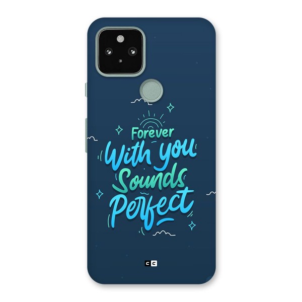 Sounds Perfect Back Case for Google Pixel 5