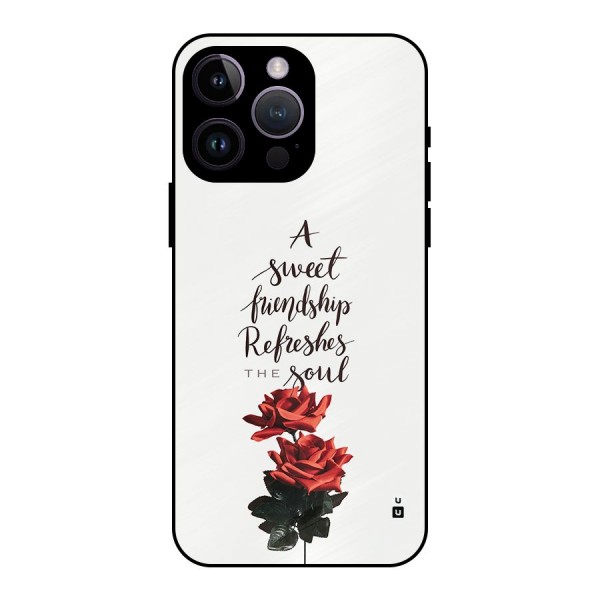 Sweet Friendship Metal Back Case for iPhone 14 Pro Max