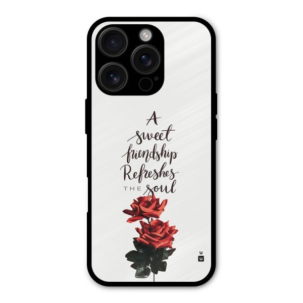 Sweet Friendship Metal Back Case for iPhone 16 Pro