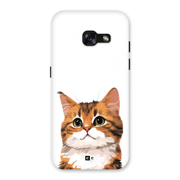 The Cute Cat Back Case for Galaxy A3 (2017)