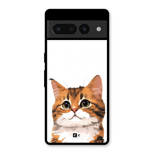 The Cute Cat Glass Back Case for Google Pixel 7 Pro