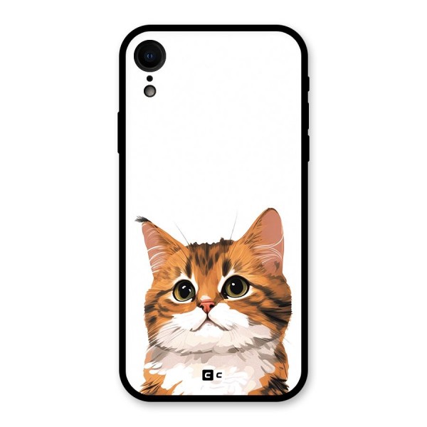 The Cute Cat Glass Back Case for iPhone XR
