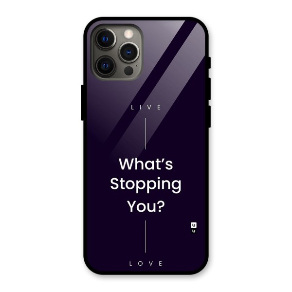 What Stopping You Glass Back Case for iPhone 12 Pro Max