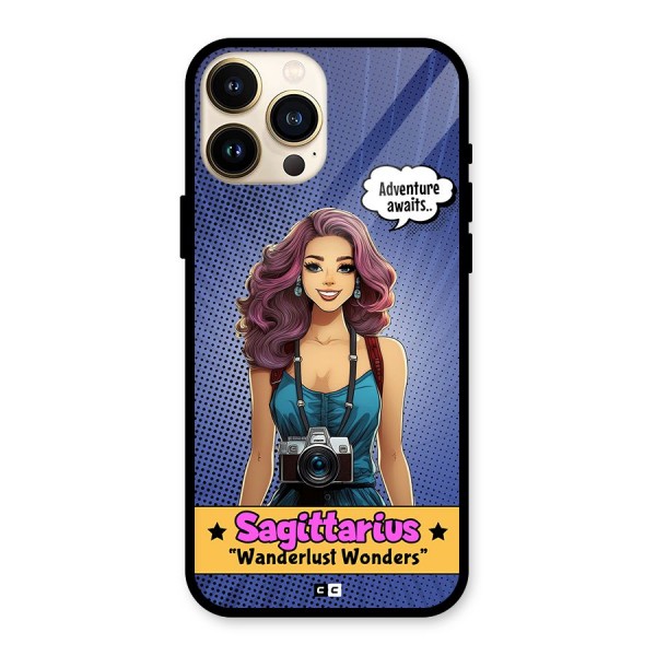 Wonderful Sagittarius Back Case for iPhone 13 Pro Max