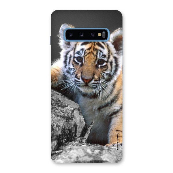 Animal Beauty Back Case for Galaxy S10 Plus