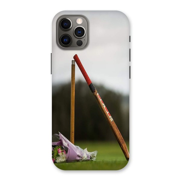 Bat Wicket Back Case for iPhone 12 Pro