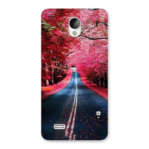 Beautiful Red Trees Back Case for Vivo Y21