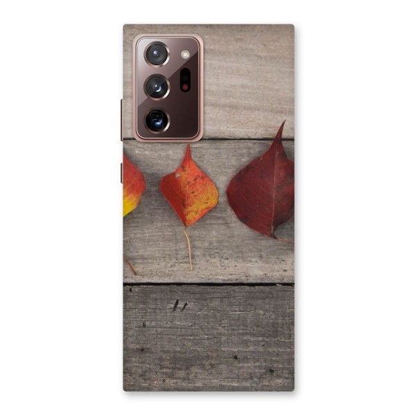 Beautiful Wood Leafs Back Case for Galaxy Note 20 Ultra