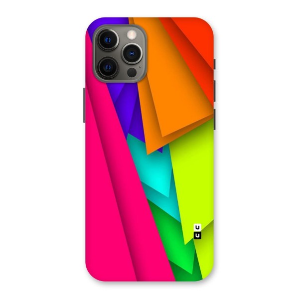 Bring In Colors Back Case for iPhone 12 Pro Max
