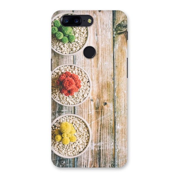 Cacti Decor Back Case for OnePlus 5T