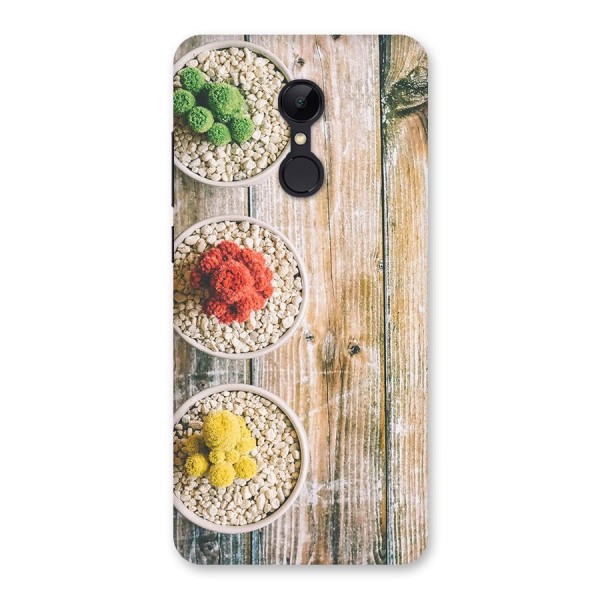 Cacti Decor Back Case for Redmi 5