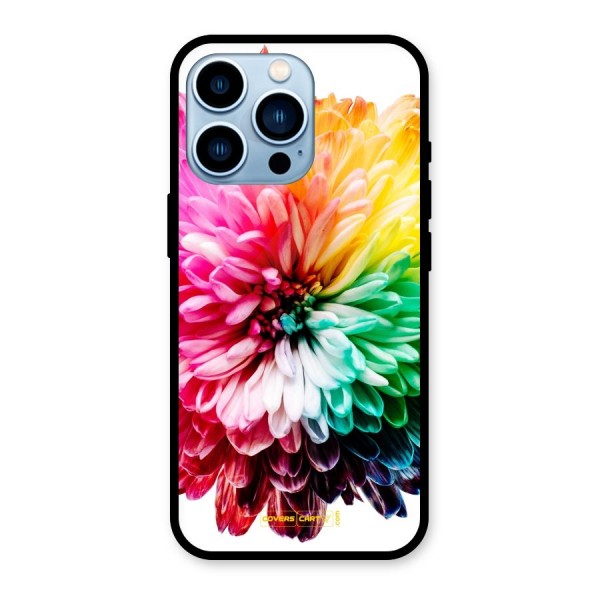 Colorful Flower Glass Back Case for iPhone 13 Pro