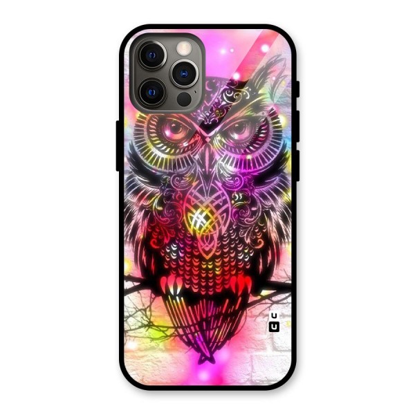 Colourful Owl Glass Back Case for iPhone 12 Pro