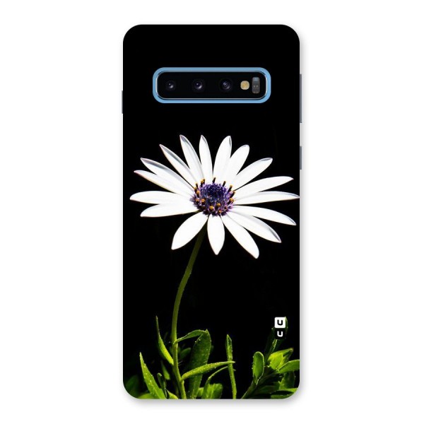 Flower White Spring Back Case for Galaxy S10