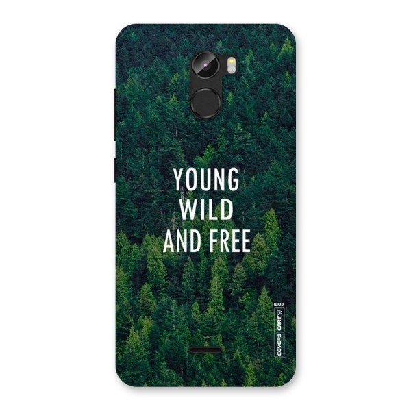 Forest Wanderlust Back Case for Gionee X1