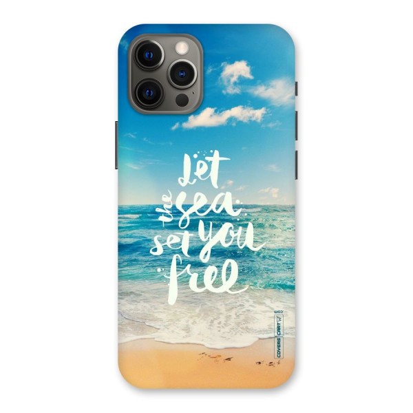 Free Sea Back Case for iPhone 12 Pro Max