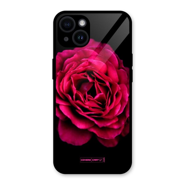 Magical Rose Glass Back Case for iPhone 14