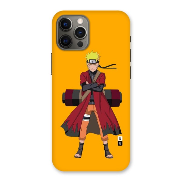 Naruto Uzumaki Art Back Case for iPhone 12 Pro Max