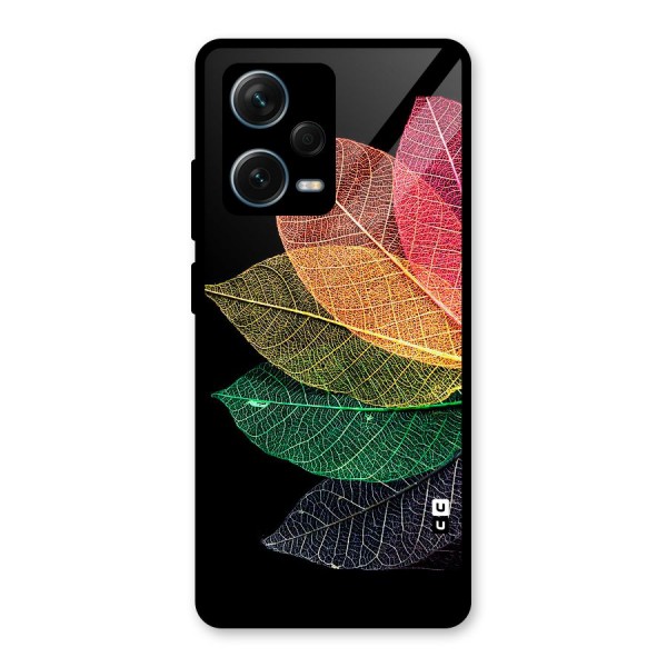 Net Leaf Color Design Glass Back Case for Redmi Note 12 Pro Plus 5G