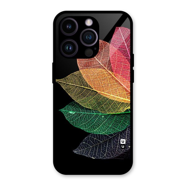 Net Leaf Color Design Glass Back Case for iPhone 14 Pro