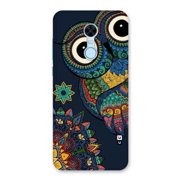 Owl Eyes Back Case for Redmi Note 5