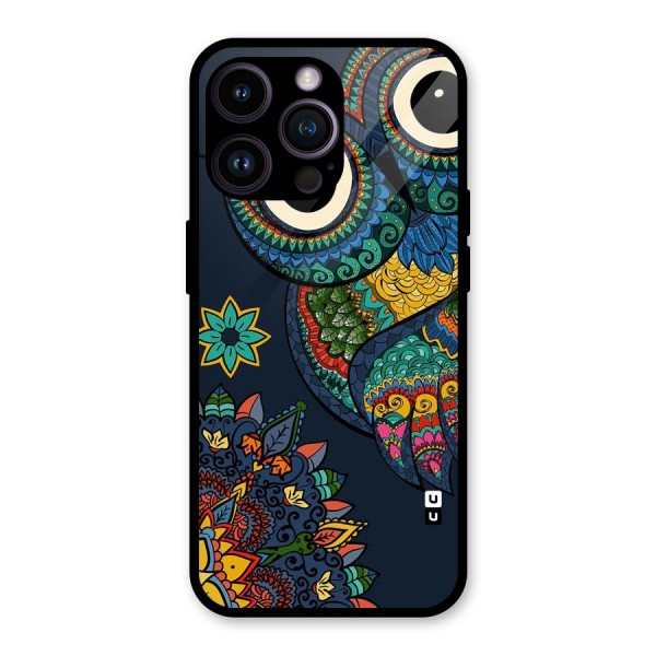 Owl Eyes Glass Back Case for iPhone 14 Pro Max