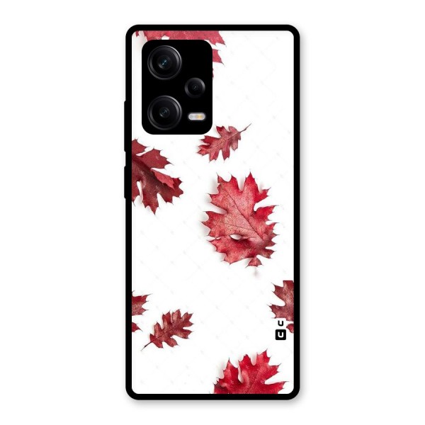 Red Appealing Autumn Leaves Glass Back Case for Redmi Note 12 Pro