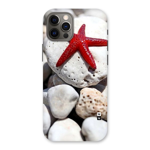 Red Star Fish Back Case for iPhone 12 Pro
