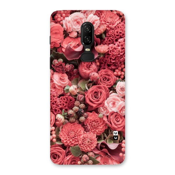 Shades Of Peach Back Case for OnePlus 6
